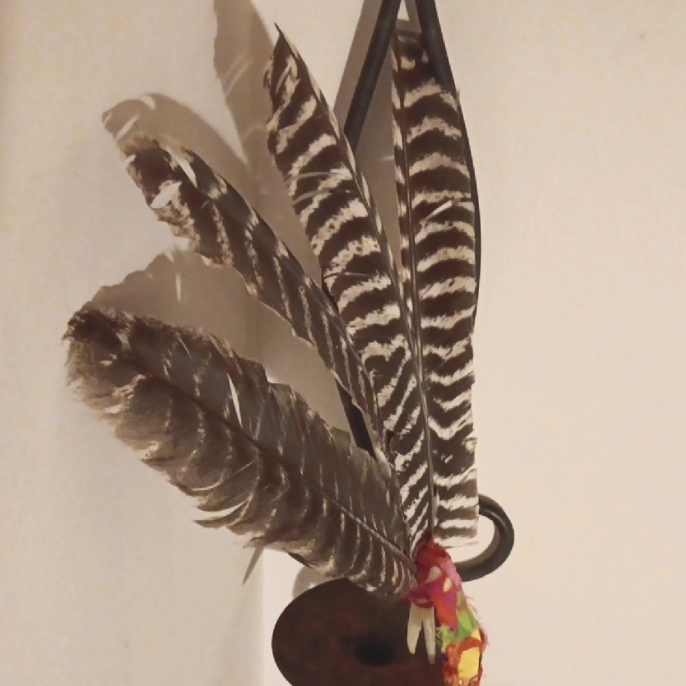 Decorative Feathers And Design Upon Request°•☆